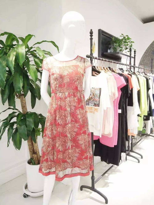 慧蘭女裝 優(yōu)雅風尚，演繹東方女性的獨特魅力